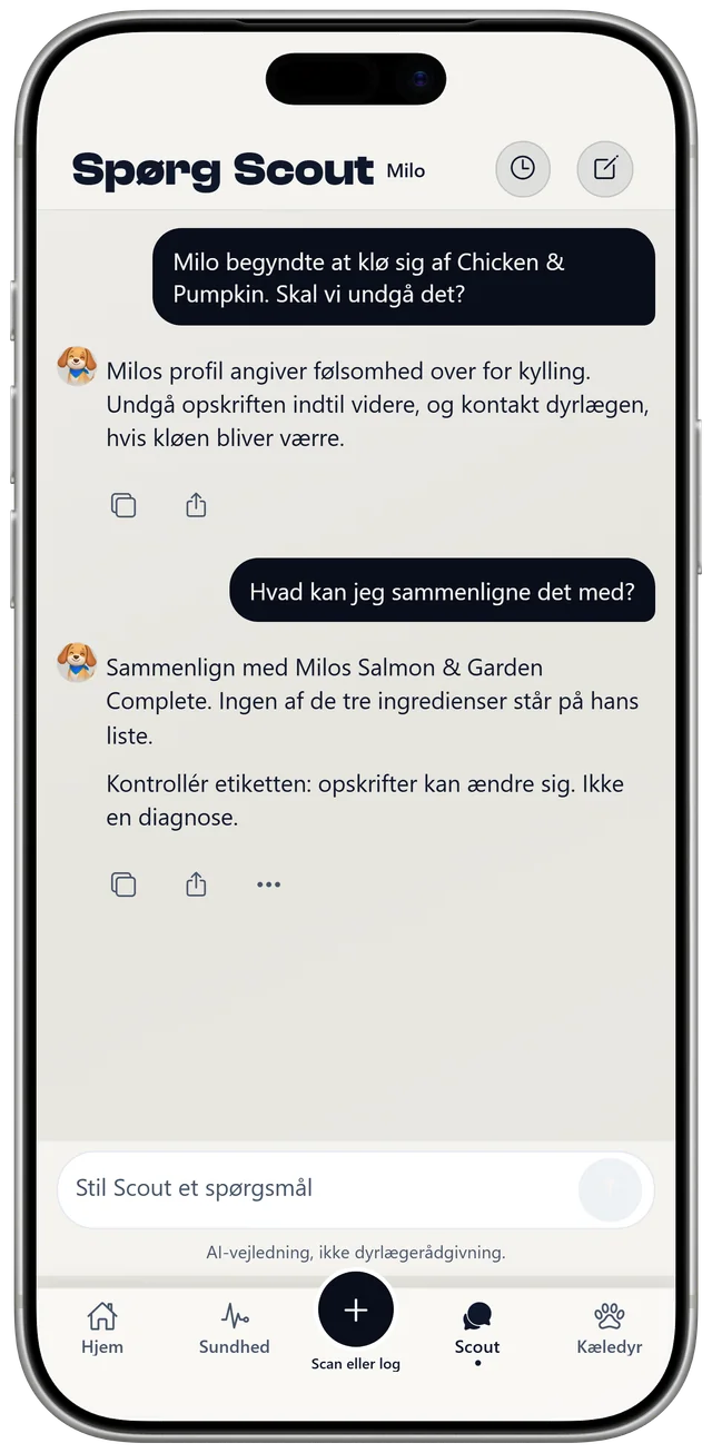 En samtale med Scout om Milos seneste måltider og en følsomhed over for kylling, markeret som generel vejledning, ikke en diagnose.