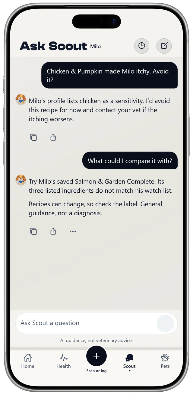 A conversation with Scout about Milo's recent meals and a chicken sensitivity, labelled as general guidance, not a diagnosis.