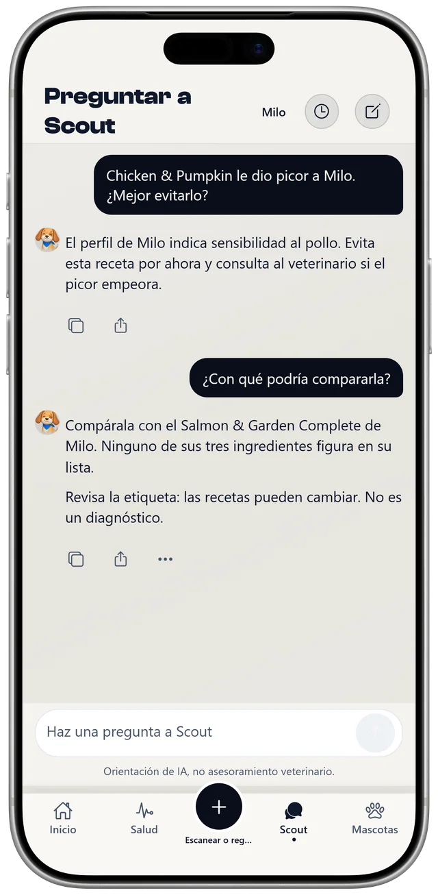 Una conversación con Scout sobre las últimas comidas de Milo y una sensibilidad al pollo, señalada como orientación general, no un diagnóstico.