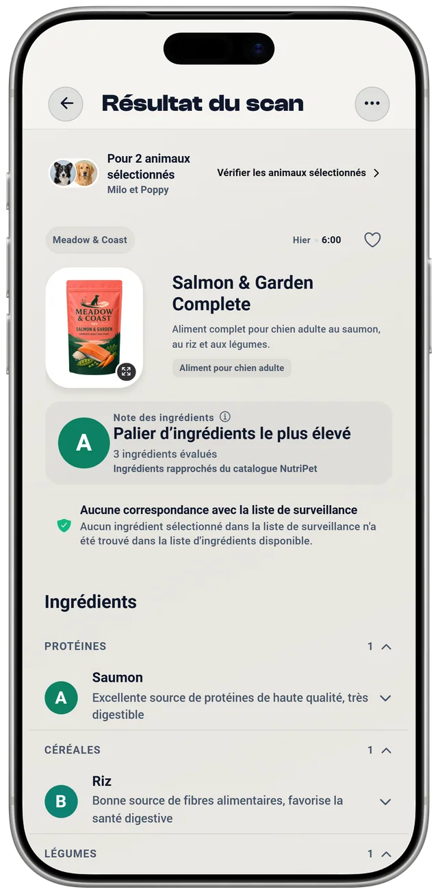 Un résultat de scan NutriPet pour un aliment pour chien : une note d’ingrédients fondée sur la liste d’ingrédients, et une vérification distincte de la liste de surveillance pour deux animaux sélectionnés.