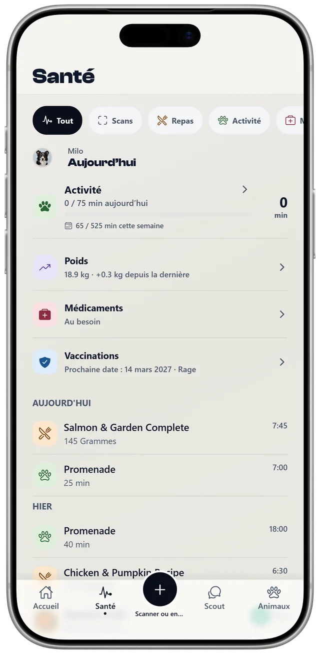 Le suivi de santé de Milo dans NutriPet, avec l’activité, le poids, les médicaments, les vaccinations, ainsi que les repas et promenades du jour.