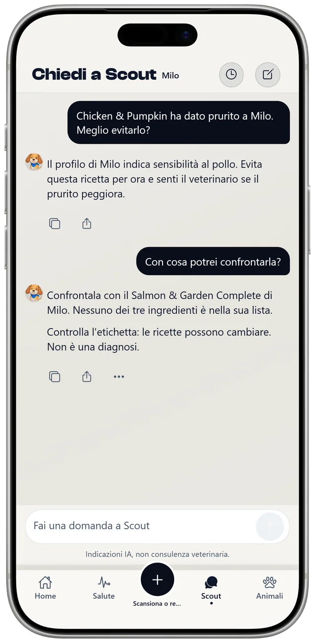 Una conversazione con Scout sugli ultimi pasti di Milo e una sensibilità al pollo, indicata come informazione generale, non una diagnosi.