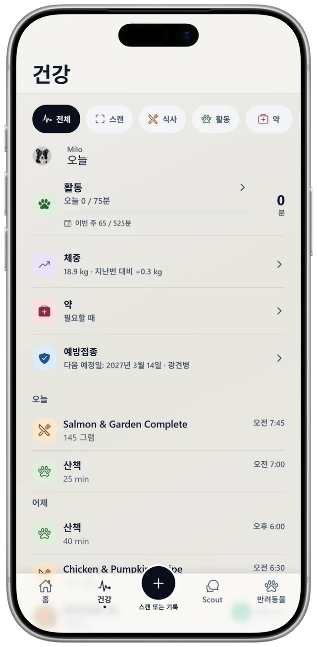 NutriPet의 Milo 건강 기록. 활동, 체중, 약물, 예방접종, 오늘의 식사와 산책이 표시됩니다.