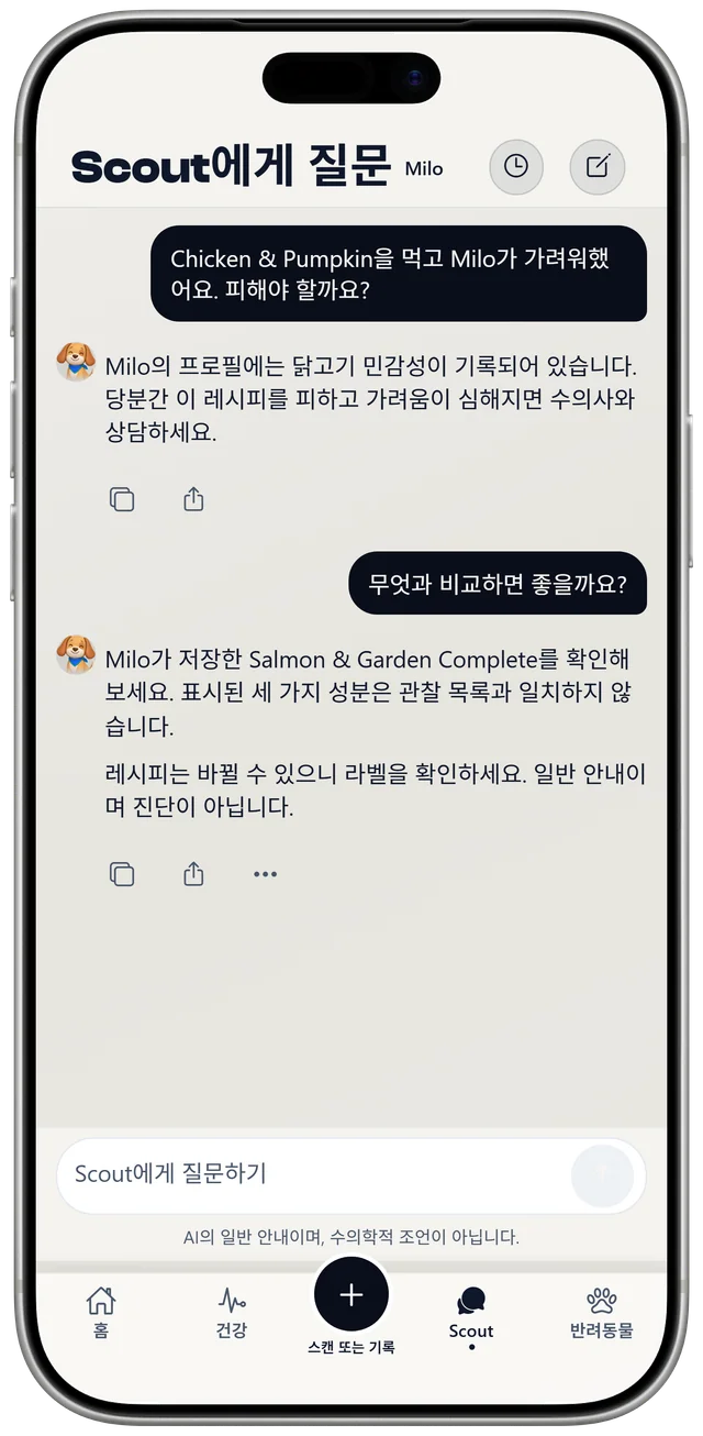 Milo의 최근 식사와 닭고기 민감성에 대해 Scout와 나눈 대화. 진단이 아닌 일반적인 안내라고 표시되어 있습니다.