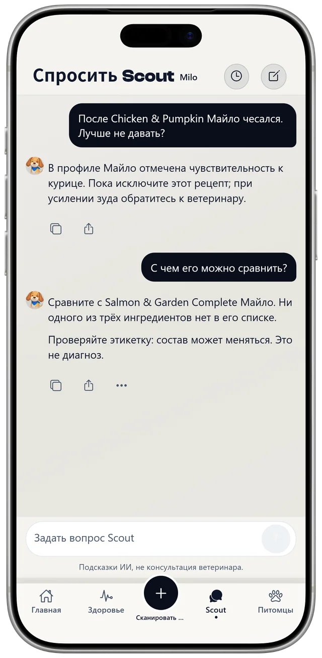 Разговор со Scout о недавних приёмах пищи Milo и чувствительности к курице, отмеченный как общая рекомендация, а не диагноз.