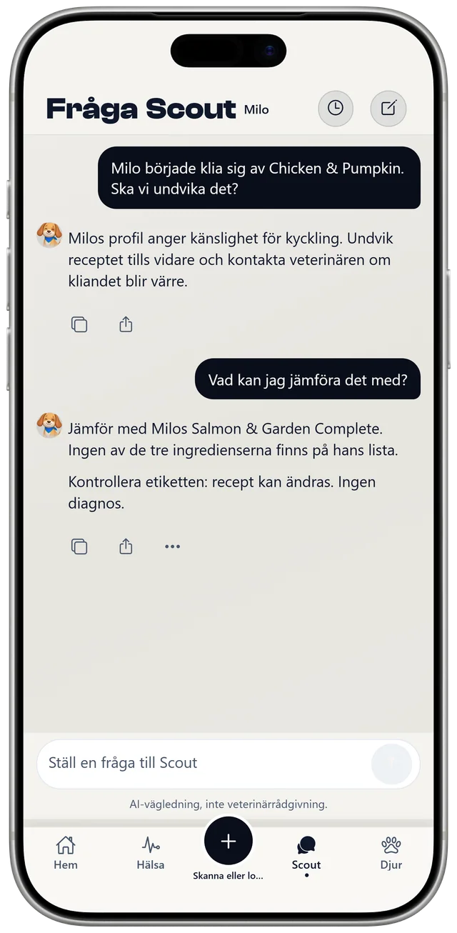 Ett samtal med Scout om Milos senaste måltider och en känslighet för kyckling, märkt som allmän vägledning, ingen diagnos.